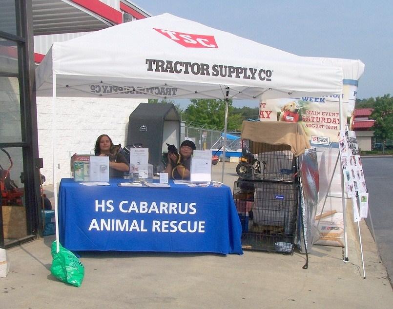 HS Cabarrus Animal Rescue set up a tent outside from 9am to 6pm and had dogs that were up for adoption all during the day.
