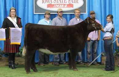 20 4 LITTLE CEDAR AVIATOR 503X NPS ROSES RIDER 031 ET HI VIEW S ACE OF DIAMONDS CYT MAX ROSA 3123 ET CYT MAX ROSA 9111 ET of Four SEXED HEIFER This is your chance to get in on the