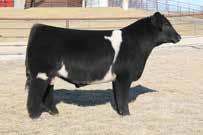 Commodity daughter sold for $125,000 for Cates Farms.