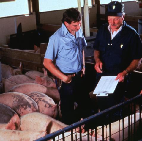 Uses of Antimicrobials in Pork Production Individual
