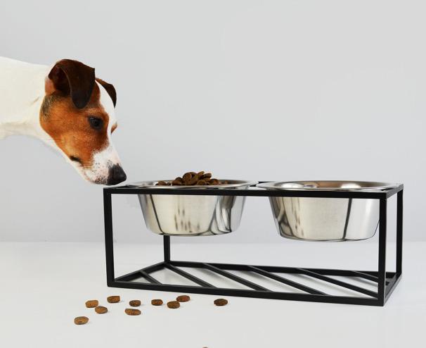 Analysis Hello Pets IKEA As pets become more central to global lifestyles, products aimed at animals are becoming increasingly design-led New