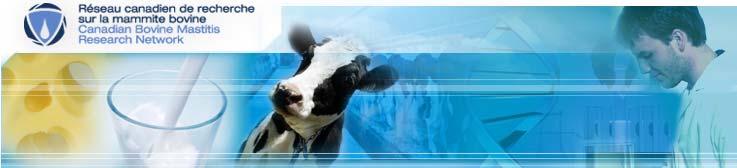 Canadian Bovine Mastitis Research Network Founded 2001 Mobilize national and international scientific and financial resources to decrease the incidence of