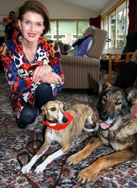 Canine Friends Pet Therapy Committee Contacts Founder (Committee Member): Eileen Curry Home: 04 567 6376 Patron: Liz Bowen-Clewley Mob: 021 620 125 liz@cil.co.