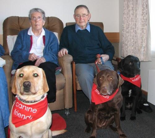 NEWS FROM CATHERINE RIVRON, LIAISON OFFICER FROM OAMARU & HER TEAM WHO VISIT THE IONA HOME IN OAMARU The Iona 3 Here are some pictures of Oamaru s very own star Labrador trio Sophie, Bronwyn and