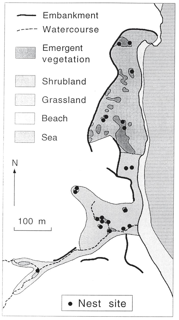 30 McKay et al.: Nest-site selection by Yellow-eyed Penguins Marine Ornithology 27 Fig. 1. Papanui Beach showing location of the three paddocks on McKay land.