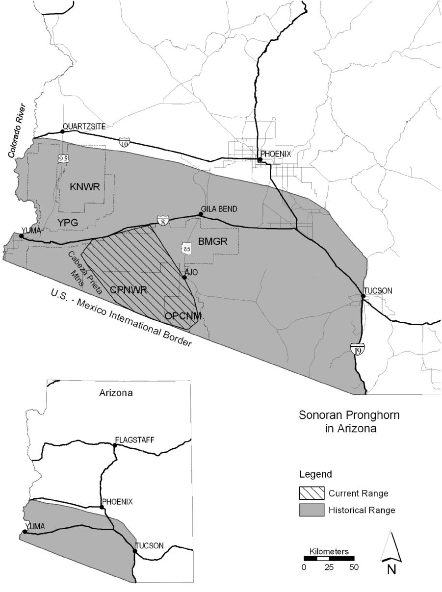 26 Wildlife Society Bulletin 2005, 33(1):24 34 Figure 1. Map of historical and current range of Sonoran pronghorn and evaluation area in southwestern Arizona, USA.