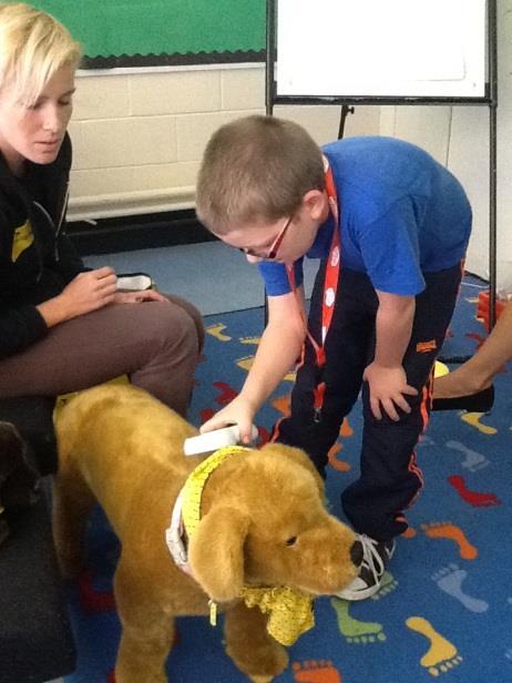 workshop and your pupils will hear all about the story of a dog that comes
