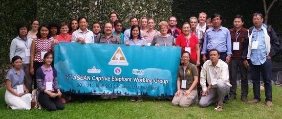 Mikota was invited to attend the 3 rd Asian Captive Elephant Working Group (ACEWG) meeting in Chiang Mai, Thailand. Thank-you to Janine Brown for supporting airfare and to Dr.