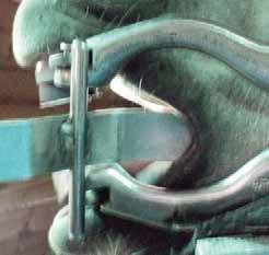 Hickey Equine Dental Cheek Retractor This retractor is very useful for pushing the cheek