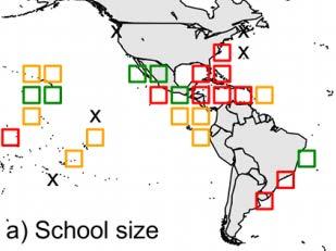 Population trends Global decline in school size and sighting frequency Ward-Paige et