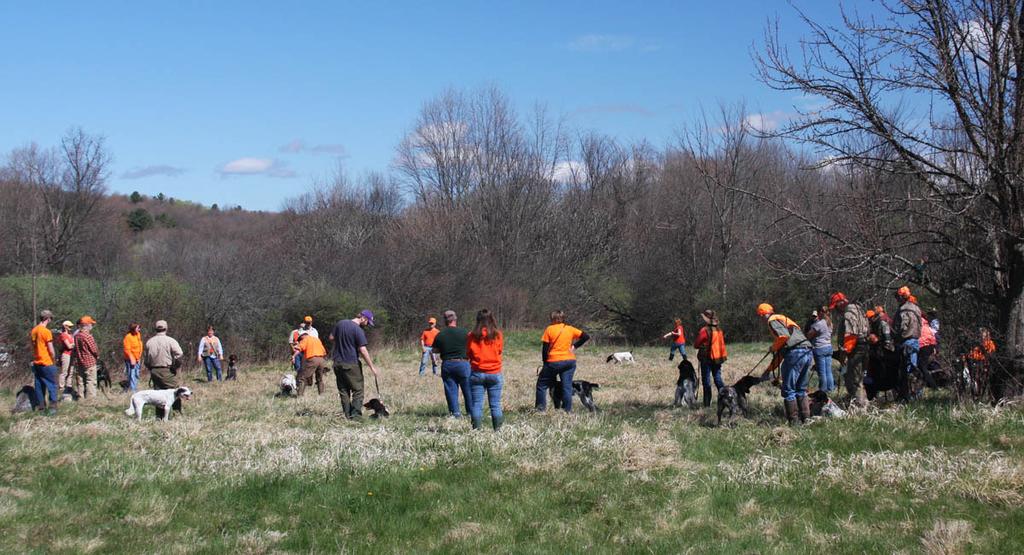 vermont clinic report: Yankee Chapter volunteers along with a few other NAVHDA trainers and judges travelled to Ugly Dog Hunting in Hinesburg, Vermont, May 7th to present a training clinic for both