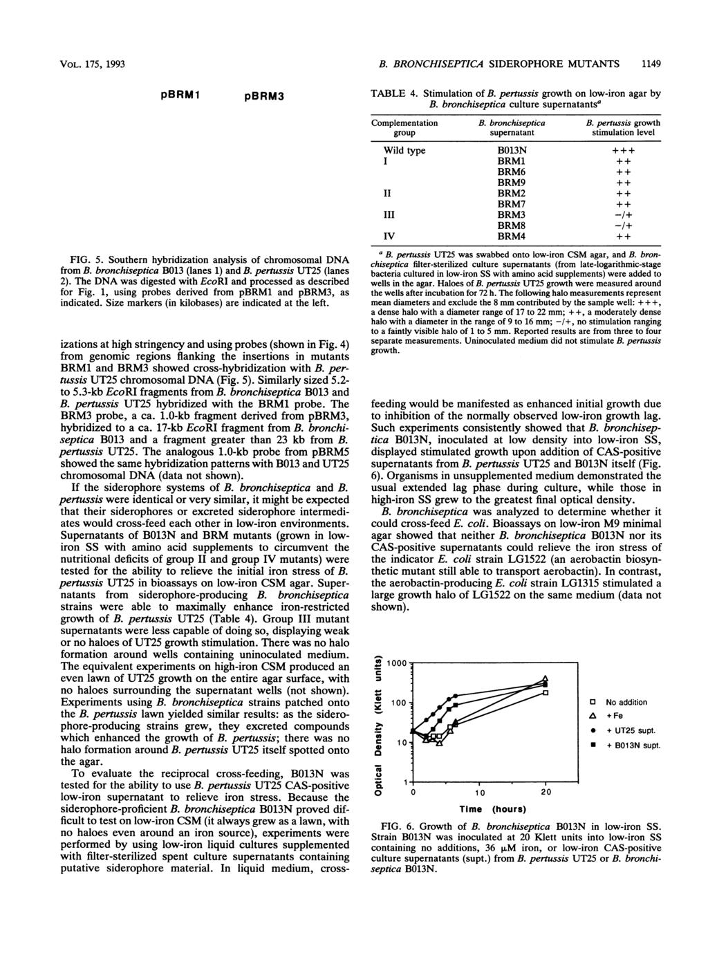 VOL. 175, 1993 2 3-9.4-6.7-4.4- pbrm1 1 2 pbrm3 1 2 FIG. 5. Southern hybridization analysis of chromosomal DNA from B. bronchiseptica B013 (lanes 1) and B. pertussis UT25 (lanes 2).