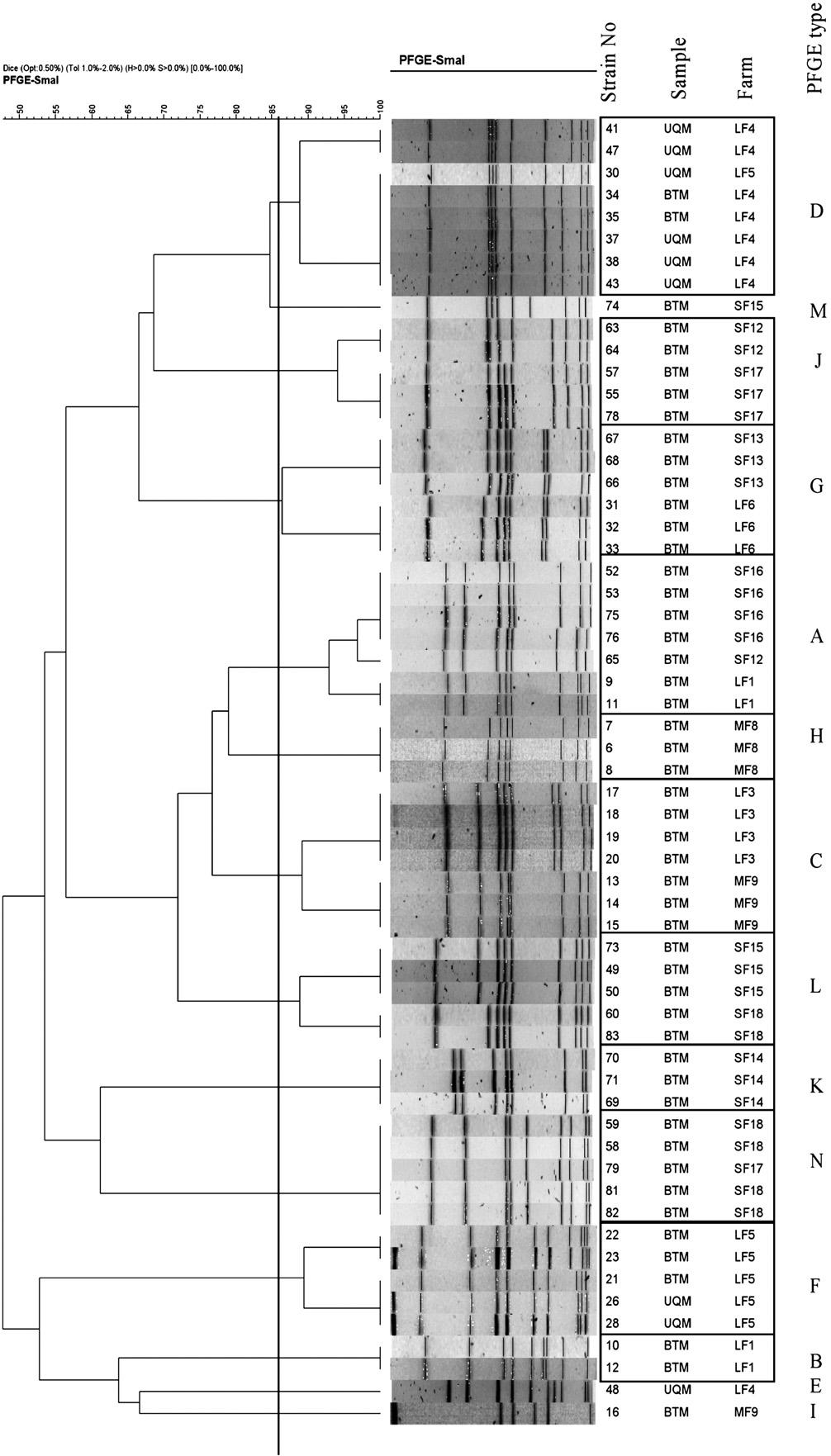 190 F. Peles et al. / International Journal of Food Microbiology 118 (2007) 186 193 Fig. 1. Dendrogram of PFGE patterns showing the relatedness of 59 Staphylococcus aureus strains examined in this study.