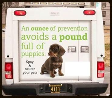 Please spay or neuter your pets! If you are a low-income pet owner and can't afford it, we can help!