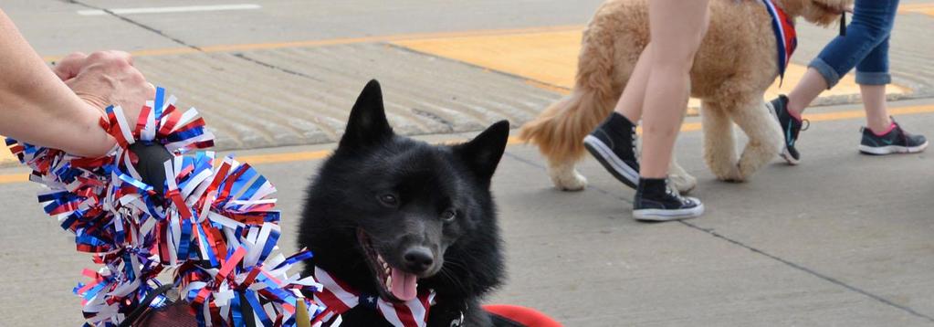 July 2018 Appleton Flag Day Parade MARK YOUR CALENDARS 07/02 Canine CPR and First Aid Class