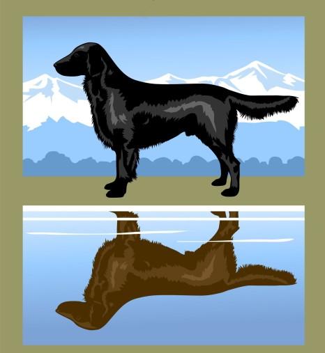 1 Northwest Flat- Coated Retriever Club Flat-Coat Times Winter 2017 Good Luck to the NW Stars! Important Dates: April 1: Supported Entry at Chintimini Show in Albany, OR.