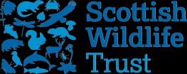 About Scottish Wildcat Action The Scottish wildcat is one of Europe's most elusive and