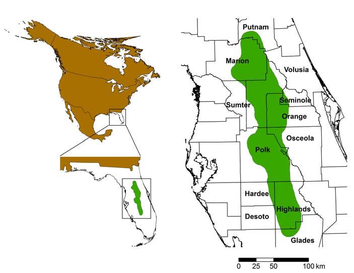 Pike and Roznik. Distribution and status of Plestiodon reynoldsi FIGURE 1.