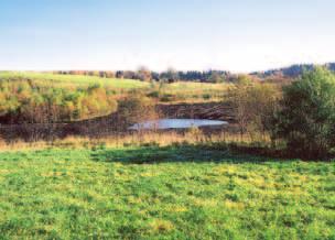 Uncultivated buffer zones of at least 5 m should be left around ponds on agricultural land. Do not establish plantations around the ponds.