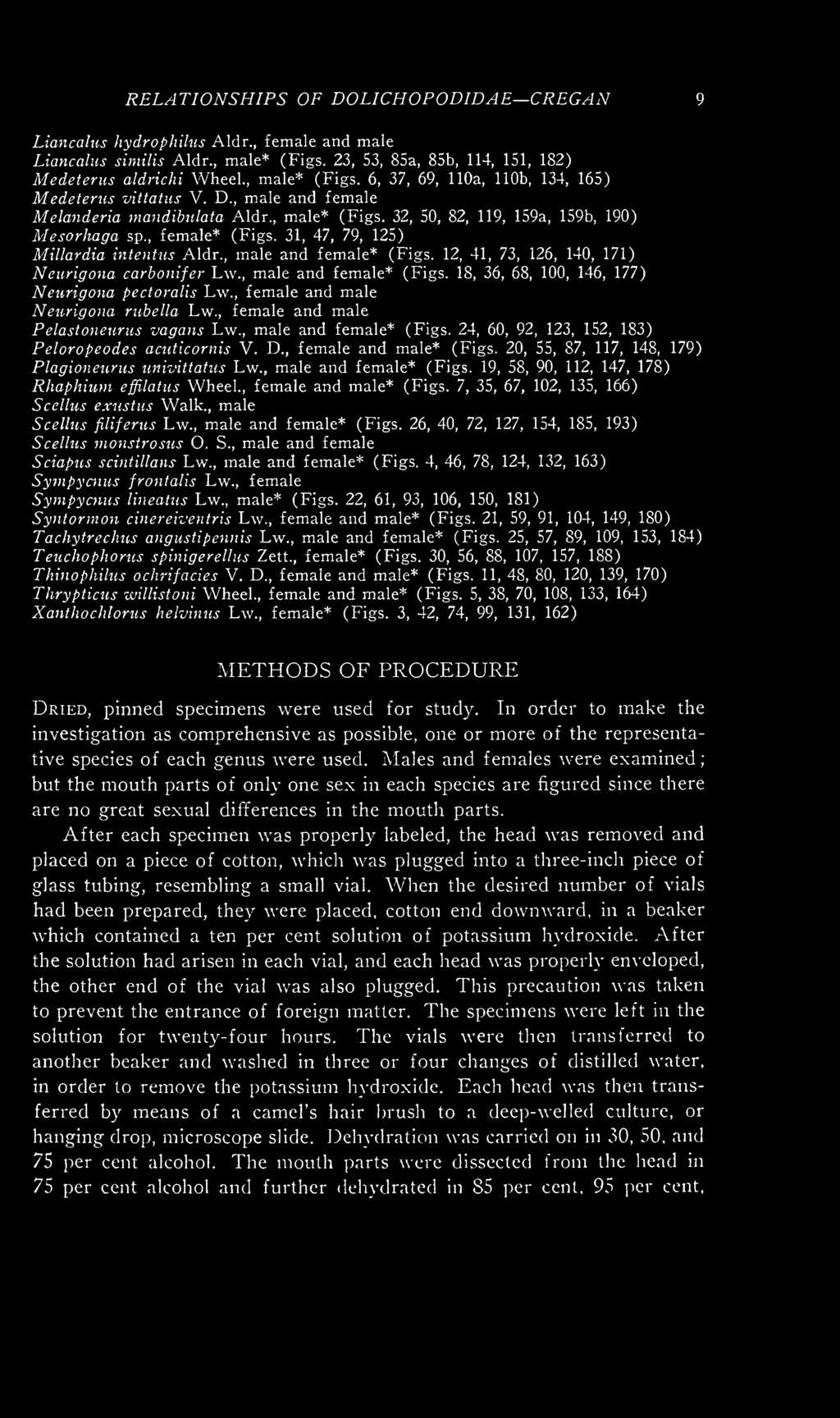 RELATIONSHIPS OF DOLICHOPODIDAE CREGAN 9 Liancalus hydrophilus Aldr., female and male Liancalus similis Aldr., male* (Figs. 23, 53, 85a, 85b, 114, 151, 182) Medeterus aldrichi Wheel, male* (Figs.