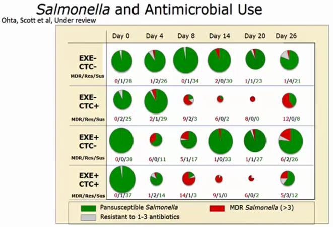 II. Salmonella Dublin Antimicrobial resistance has changed over time Co-resistance to fluoroquinolones and 3 rd generation cephalosporins Enrofloxacin is illegal for calves