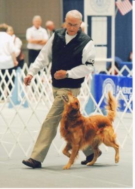 This placement was followed by five consecutive years of placing in the Top Ten All-Breeds obedience dogs in