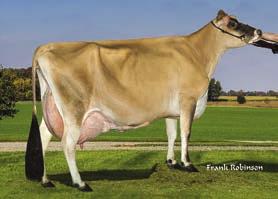 4 0 D 0 H 100 US Sire: Jer Z Boyz Cris P ET Dam: Gr Nymans Ghent 18213 MGS: Oomsdale Brazo Gratitude Ghent MGD: Nymans Magnum 14030 VG 86 2 08 278d 2x 16510m 6.0 992f 3.