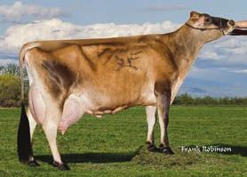 203JE01637 TUX Sexing Pilgrim Tux 60328 ET Pilgrim x Magnum x T Bone 08/2016 CDCB SUMMARY GENOMIC NM$ +524 Milk +267 74R Fluid Merit $ +457 Fat +44 +0.16 Cheese Merit $ +552 Protein +23 +0.