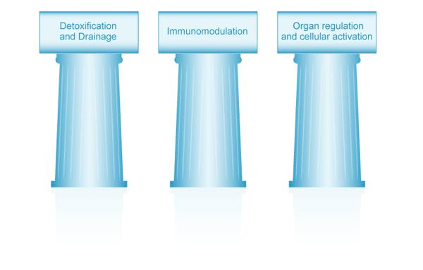 Three pillars Infection control Restrictive
