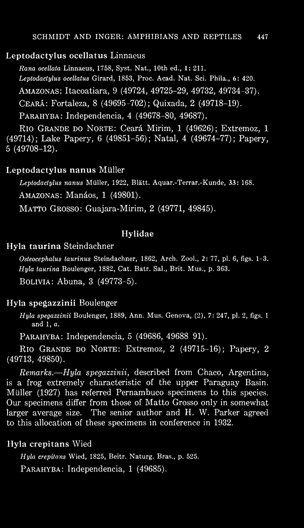 Hylidae Hyla taurina Steindachner Osteocephalus taurinus Steindachner, 1862, Arch. Zool., 2: 77, pi. 6, figs. 1-3. Hyla taurina Boulenger, 1882, Cat. Batr. Sal., Brit. Mus., p. 363.