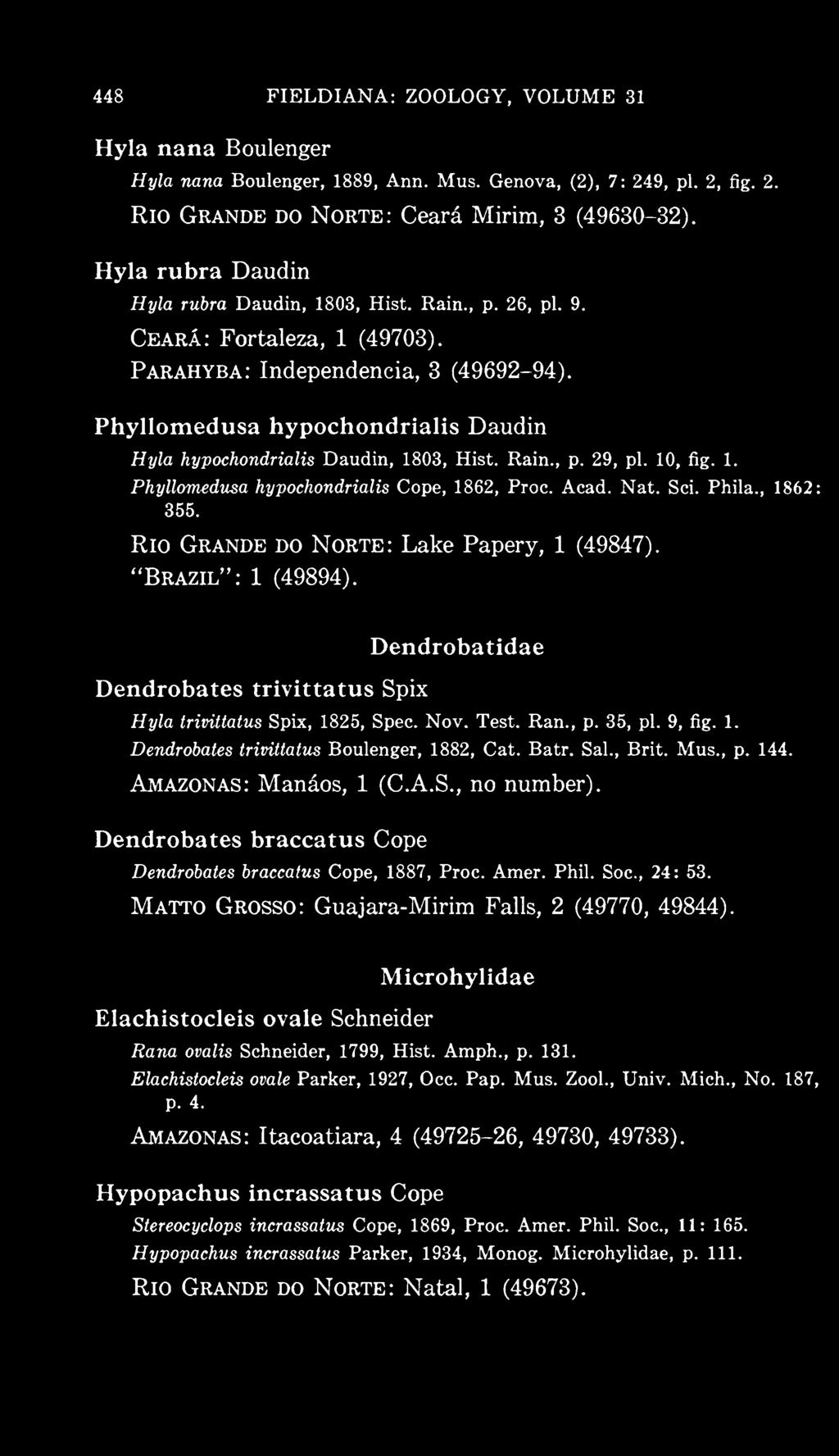 Batr. Sal., Brit. Mus., p. 144. Amazonas: Manaos, 1 (C.A.S., no number). Dendrobates braccatus Cope Dendrobates braccatus Cope, 1887, Proc. Amer. Phil. Soc, 24: 53.