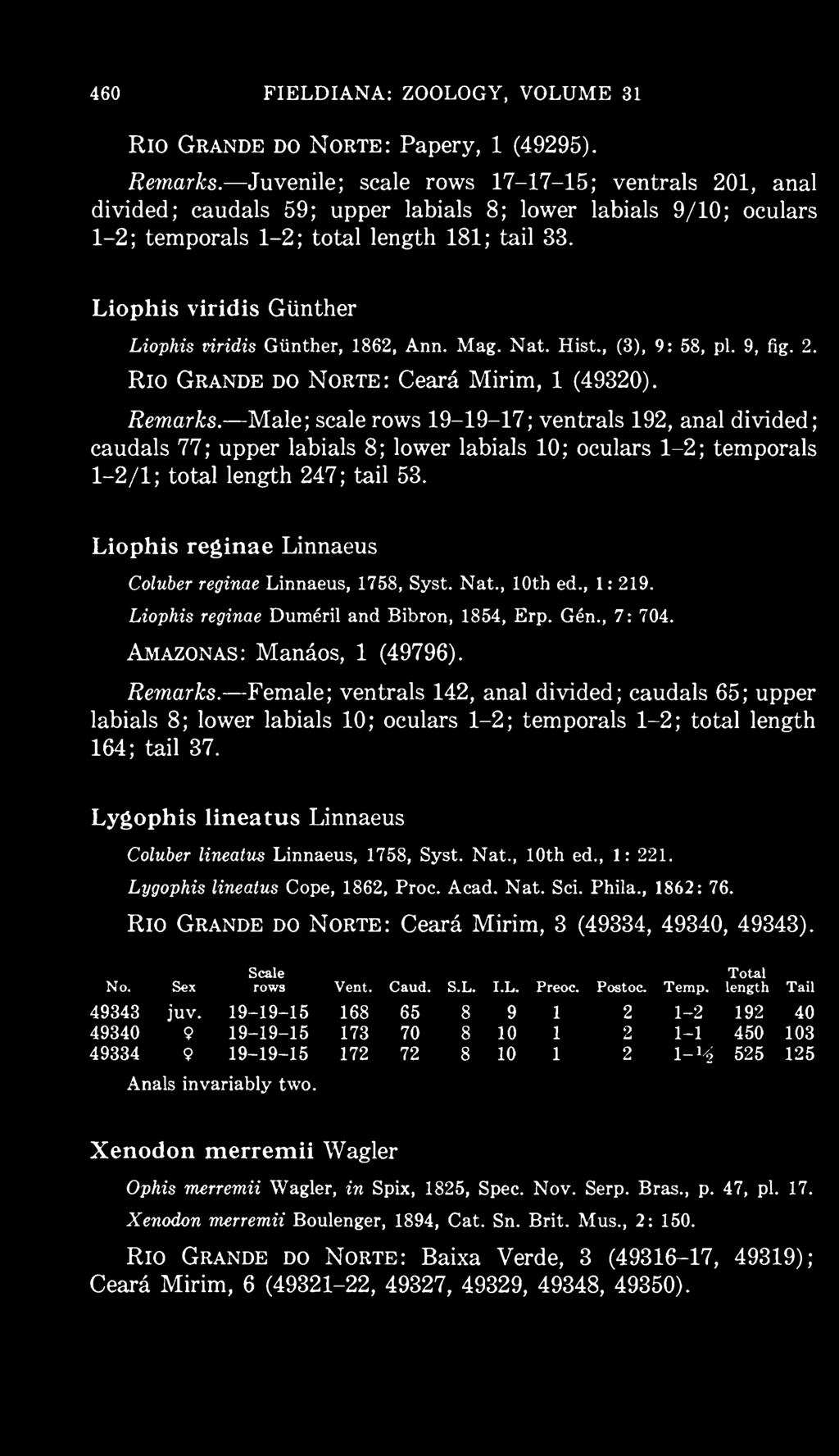 Liophis reginae Linnaeus Coluber reginae Linnaeus, 1758, Syst. Nat., 10th ed., 1: 219. Liophis reginae Dumeril and Bibron, 1854, Erp. Gen., 7: 704. Amazonas: Manaos, 1 (49796). Remarks.