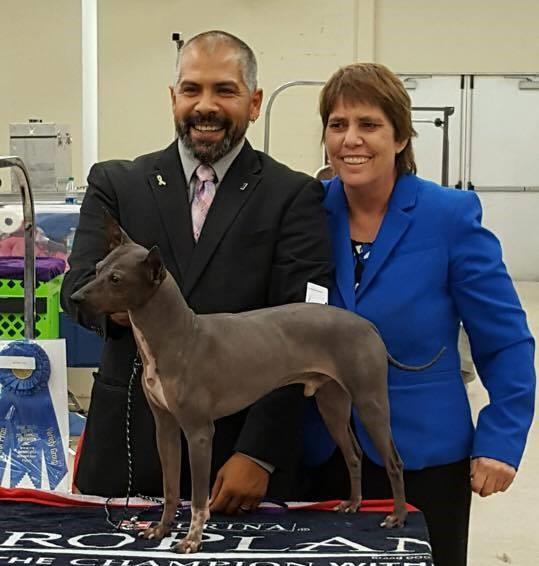 May 22: Guest Speaker- Rachael Shatz, Savannah Kennel Club Vice President, will discuss dog show supported entries June 26: BRAGS BISS GCH Cappelli Bull Rodo-- (aka Demon) won Best of Breed both days
