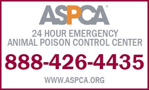 Last year alone, the ASPCA Poison Control Center received more than 180,639 case related to pets being poisoned by