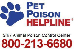 danger to your pet. Keep medications on high shelves.