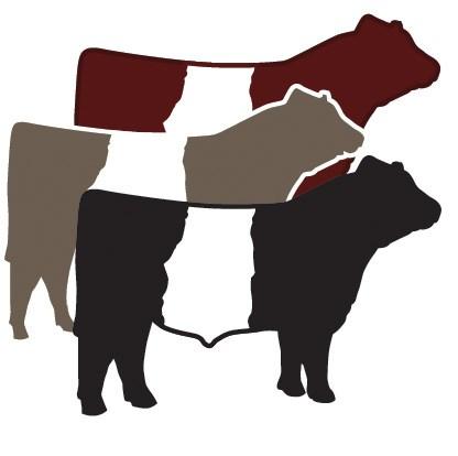May 2015 US Beltie News MRB s Red Belted Galloways Hazel, SD President Michelle Ogle The Belted Galloway Society is saying farewell to a symbol that has represented our breed for decades--our Beltie