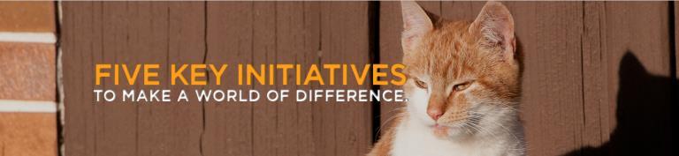 ASV Association of Shelter Veterinarians Maddie s Fund of course And many more regional and local animal welfare, spay/neuter, rescue and foster groups,