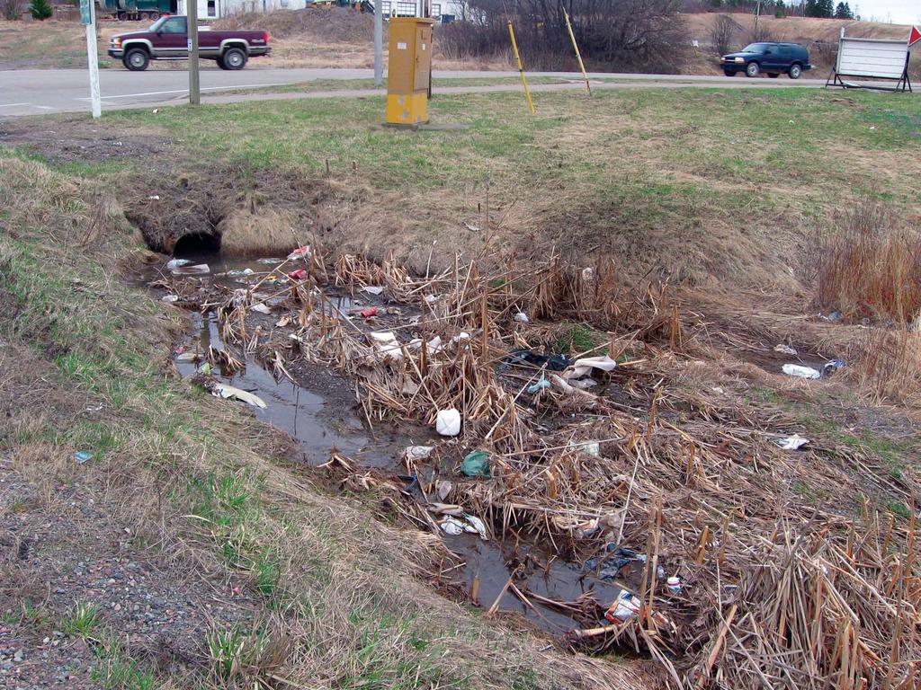 Litter Lookout A Summary Report Hey Nova Scotia, it s time to
