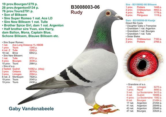 BLIKSEM was unofficially the best middle distance pigeon of Belgium in 2000.