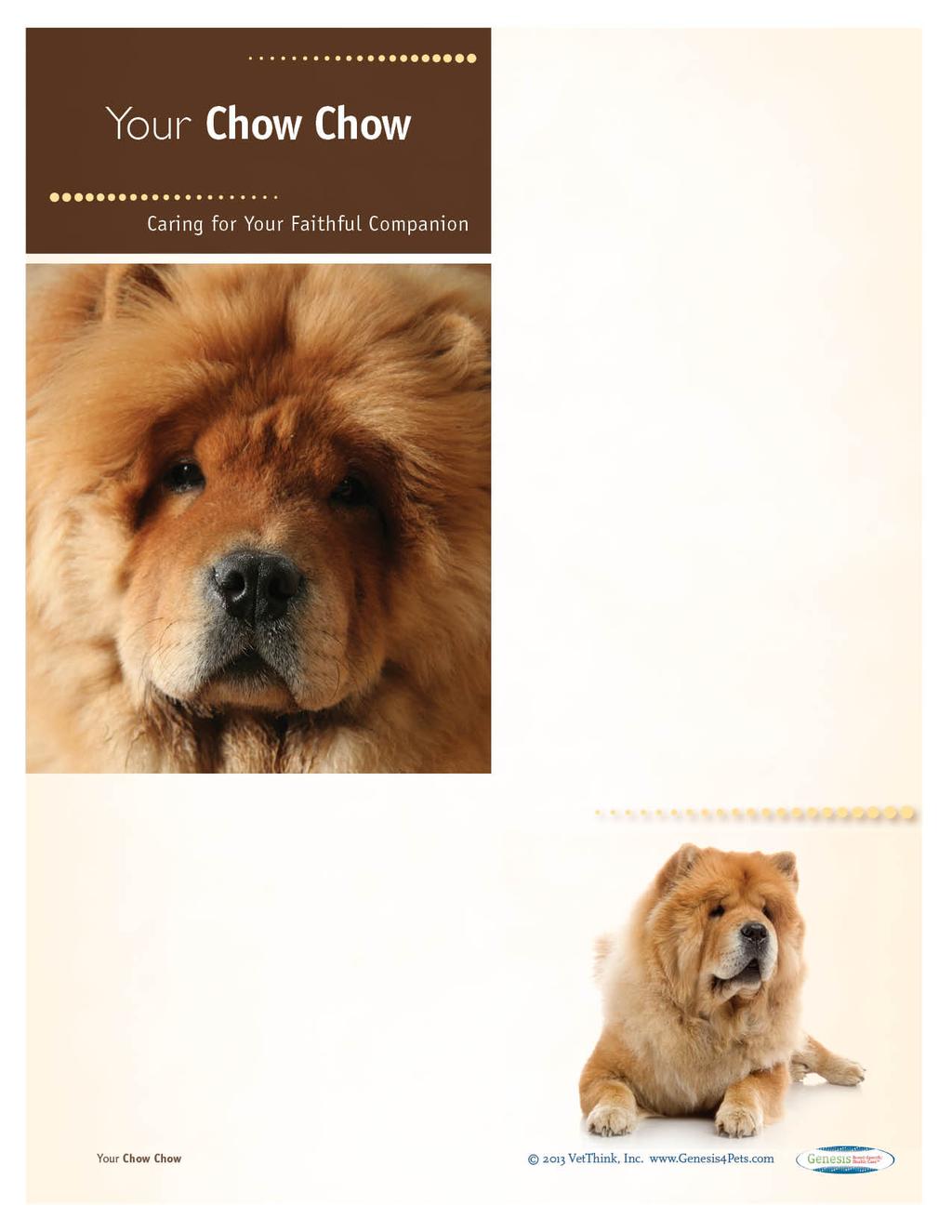Rough Coated Chow Chows: What a Unique Breed! Your dog is special! She's your best friend, companion, and a source of unconditional love.