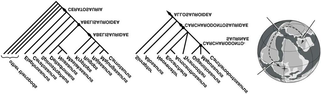 38 ACTA PALAEONTOLOGICA POLONICA 53 (1), 2008 1 2 3 Fig. 20. Phylogenetic relationships of Kryptops palaios gen. et sp. nov.