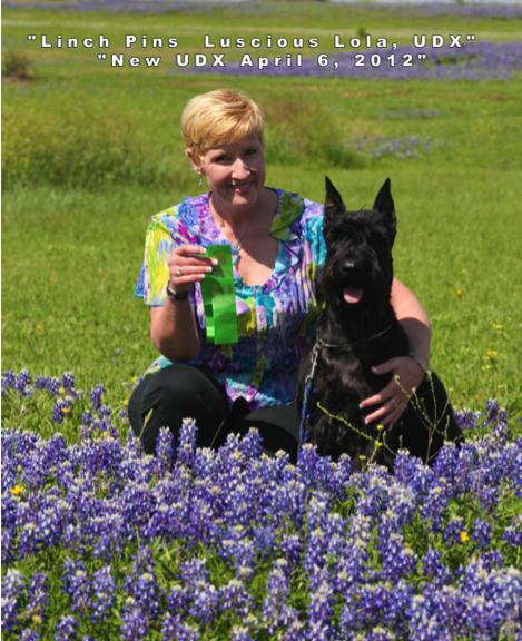 Volume E6 June Giant Schnauzer Club of America Newsletter New Business: Telephonic Board Lure Coursing Titles to Versatility Award Program Meeting Minutes ~ A club member sent in a request for the