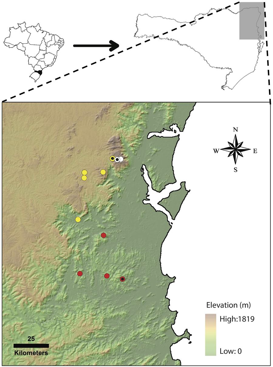 Three New Species of Melanophryniscus Fig 7. Geographical distribution of the new species of Melanophryniscus described in the present study.