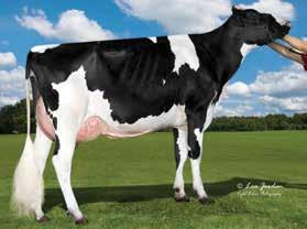 92 Rel 94% PRODUCTION (Based on 428 Daughters in 97 Herds) Milk 1021 Lbs Rel 97% Protein 34 Lbs +0.01% Cheese Merit $ 642 Fat 40 Lbs PL 6.5 DPR 3.8 LIV +0.2 CCR 4.5 SCS 2.71 HCR 2.