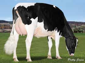 66 Rel 85% PRODUCTION (Based on 228 Daughters in 44 Herds) Milk 1218 Lbs Rel 94% Protein 28 Lbs -0.03% Cheese Merit $ 596 Fat 28 Lbs -0.06% PL 6.6 DPR 3.8 LIV +2.0 CCR 5.6 SCS 2.64 HCR 4.