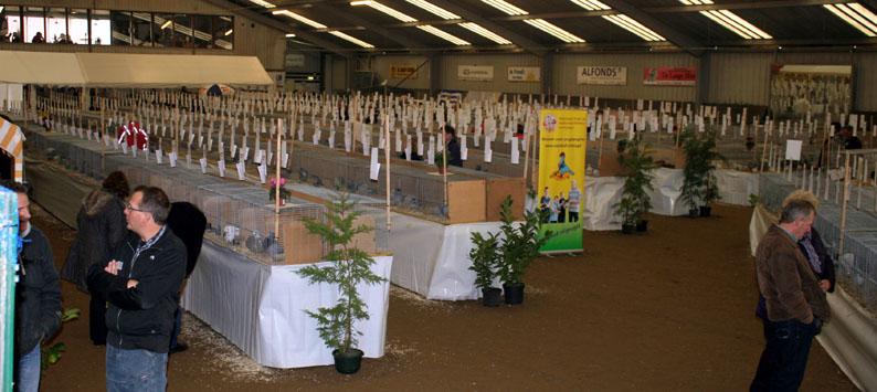 Proud owners, top animals and striking breed products Part 1 41 st Delta Show 2011 in Zeeland (NL) Text and photos: S.