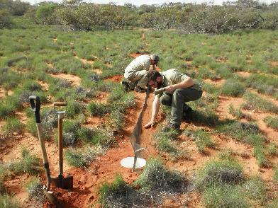 Image 1: A pitfall trap used by APMS to survey native fauna at Gnaraloo during 2014/15 8 Results by APMS A cat was shot in August 2014.