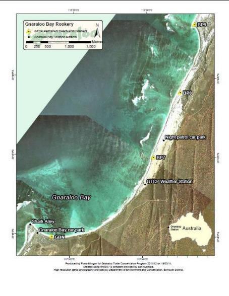 Both of these turtle rookeries are located in the southern section of the NMP. The GBR extends from the GTCP beach survey point named Gnaraloo Bay North (GBN) (23.76708ºS; 113.