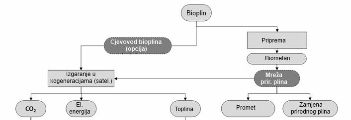 Putevi korištenja bioplina 7
