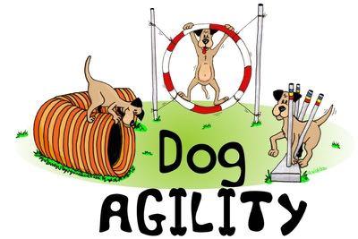 Page 3 December 2018 Chatter-Barks Agility